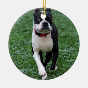 Boston-Terrier Keramikornament