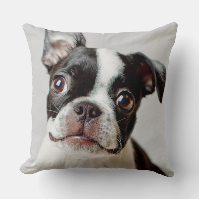 Boston Terrier Kissen (Vorderseite)