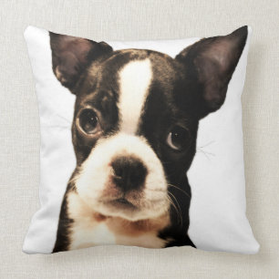 BoSTON TERRiER Kissen