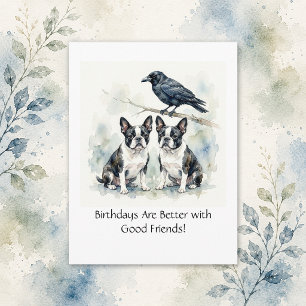 Boston Terrier / Krähe Frohe Geburtstag Geschäft Postkarte