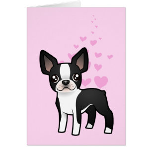 Boston-Terrier-Liebe