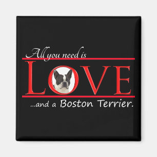 Boston Terrier Liebe Magnet