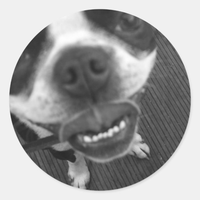 Boston Terrier Lips Runder Aufkleber (Vorderseite)