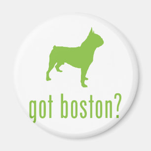 Boston Terrier Magnet
