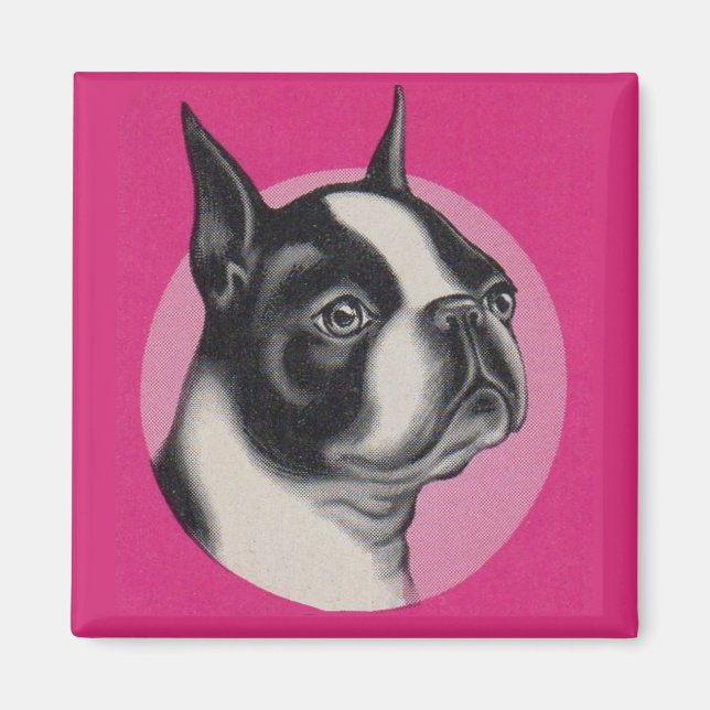 Boston Terrier Magnet (Vorne)