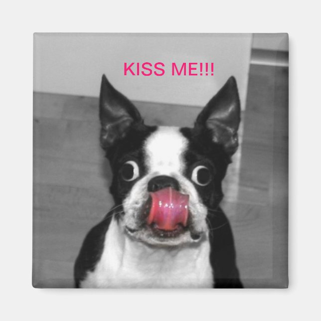 BOSTON TERRIER MAGNET (Vorne)