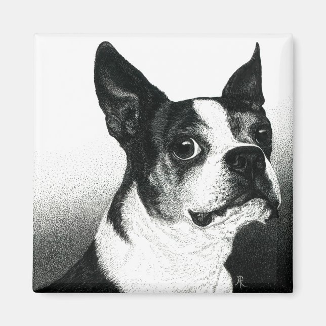 Boston Terrier Magnet - "Boston Style" (Vorne)