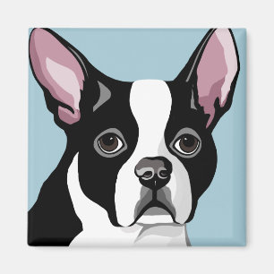 Boston Terrier Magnets Magnet