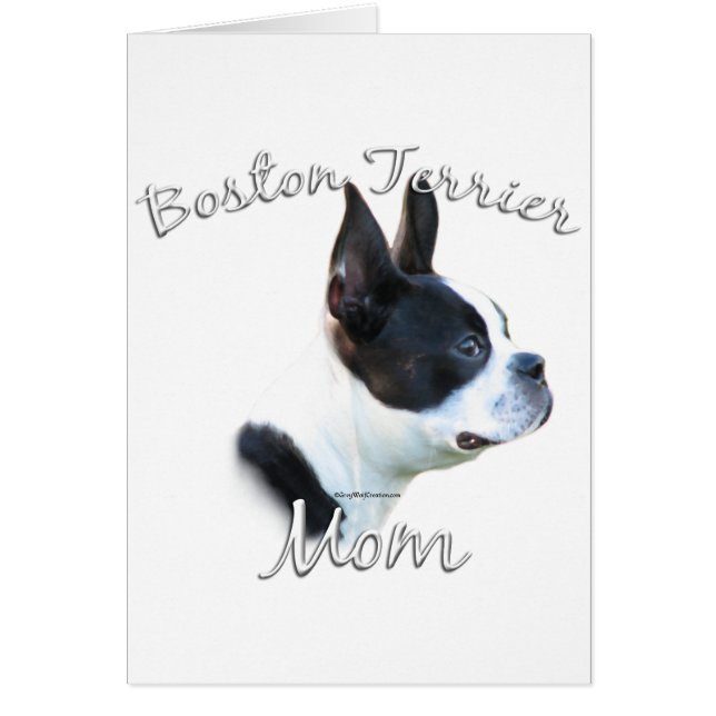 Boston Terrier Mama 2 (Vorne)