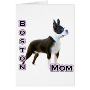 Boston Terrier Mama 4