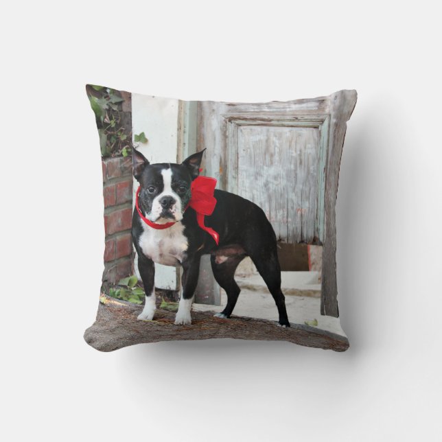 Boston Terrier - Meilen Kissen (Vorderseite)