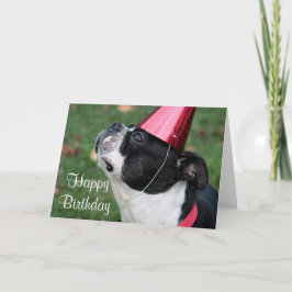 Boston Terrier mit einem Geburtstagswunsch Karte
