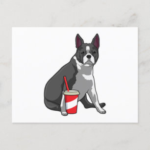 Boston Terrier mit Getränk Postkarte