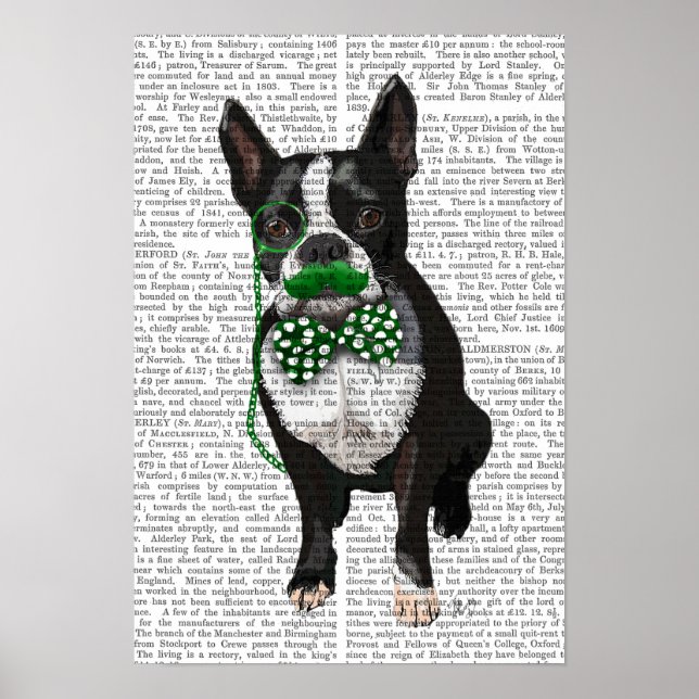 Boston Terrier mit grünem Schnurrbart Poster (Vorne)