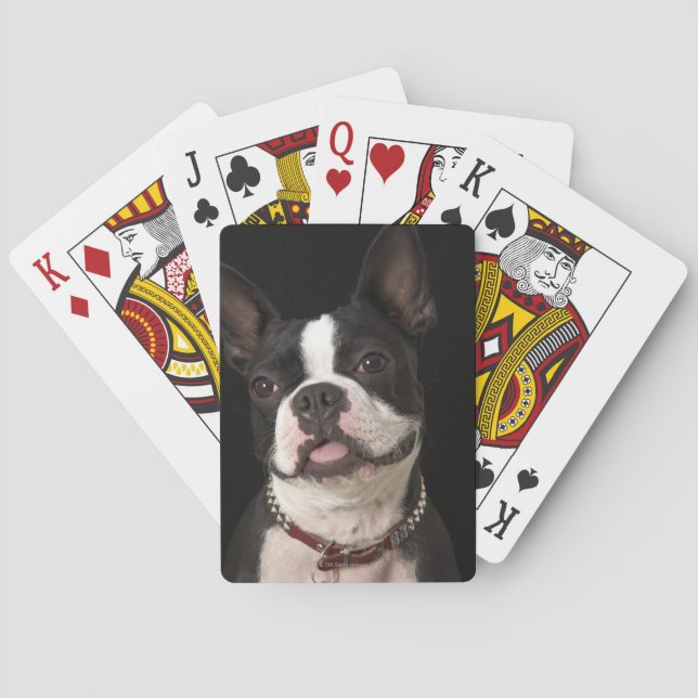 Boston-Terrier mit Kragen lächeln Spielkarten (Rückseite)