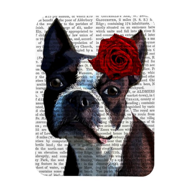 Boston Terrier mit Rose auf Head Magnet (Vertikal)