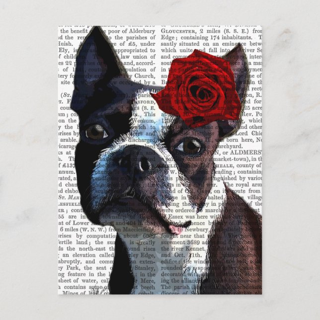 Boston Terrier mit Rose auf Head Postkarte (Vorderseite)