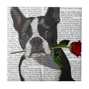 Boston Terrier mit Rose im Mund Fliese