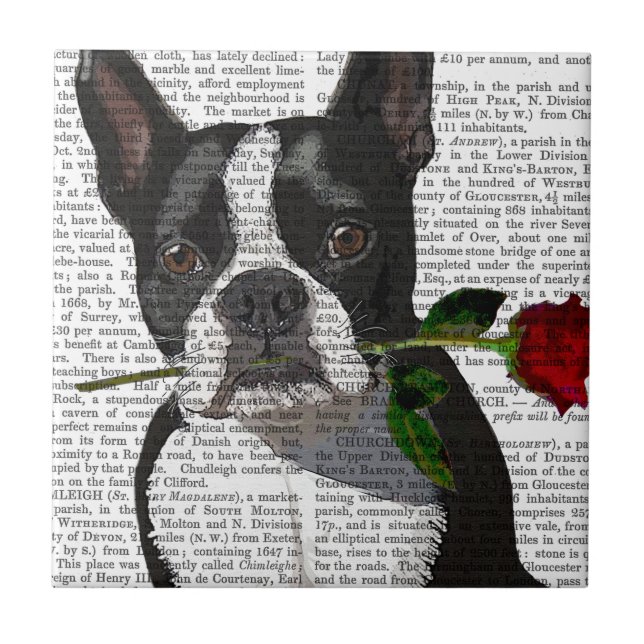 Boston Terrier mit Rose im Mund Fliese (Vorderseite)