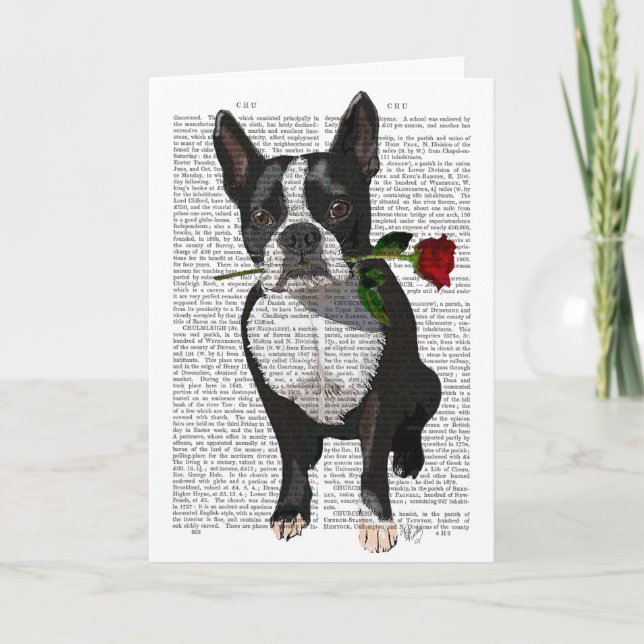 Boston Terrier mit Rose im Mund Karte (Vorderseite)