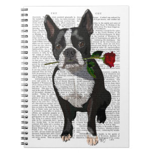 Boston Terrier mit Rose im Mund Notizblock