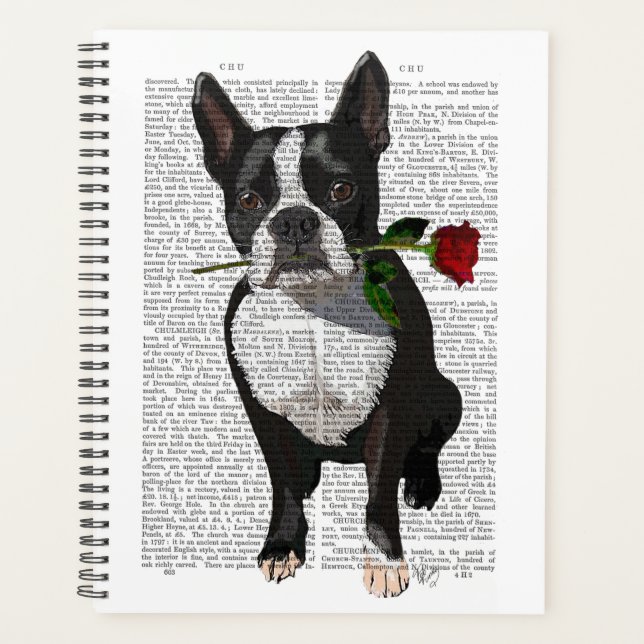 Boston Terrier mit Rose im Mund Planer (Vorderseite)