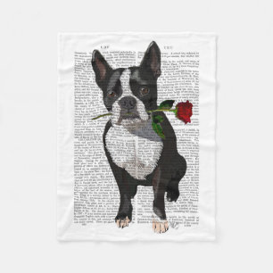 Boston Terrier mit Rose in Mouth Fleecedecke