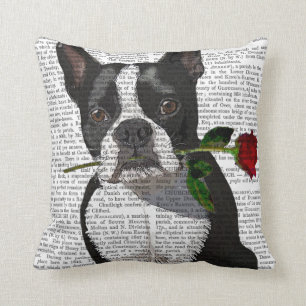 Boston Terrier mit Rose in Mouth Kissen