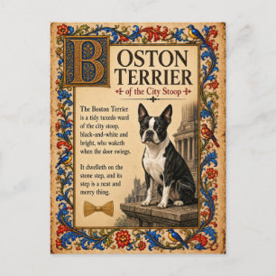 Boston Terrier, mittelalterliche Bestiarien-Kunst Postkarte