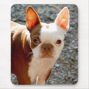 Boston Terrier Mousepad