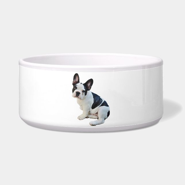 Boston Terrier Napf (Vorderseite)