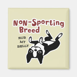 Boston Terrier "Nicht-Sportliche Rasse" Magnet