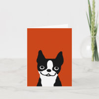 Boston-Terrier - niedlicher Gesichts-Hund