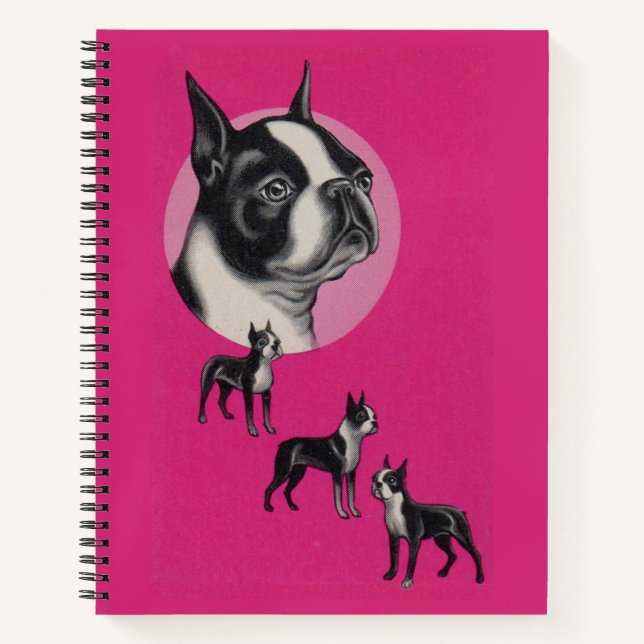 Boston Terrier Notizbuch (Vorderseite)