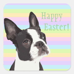 Boston Terrier Oaster wünscht Pastel Stickers