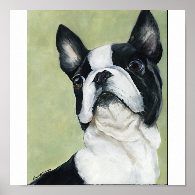 Boston Terrier Original Dog Art Print Poster (Vorne)