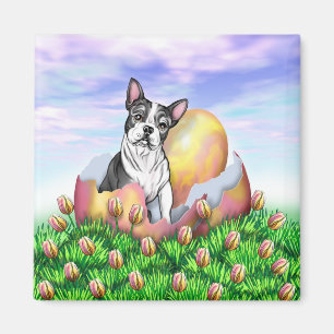 Boston Terrier Osterüberraschungsmagnet Magnet
