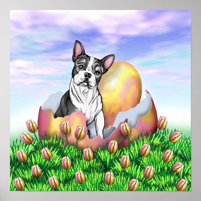 Boston Terrier Osterüberraschungspposter Poster (Vorne)