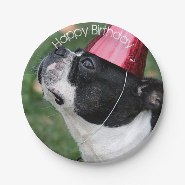 Boston Terrier Pappteller (Vorderseite)