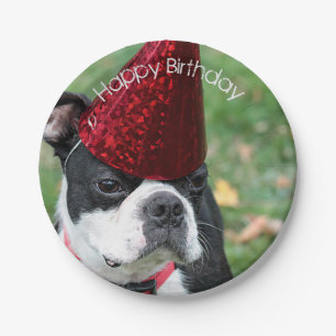 Boston Terrier Pappteller
