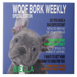 Boston Terrier Parody Magazine Cover Fliese