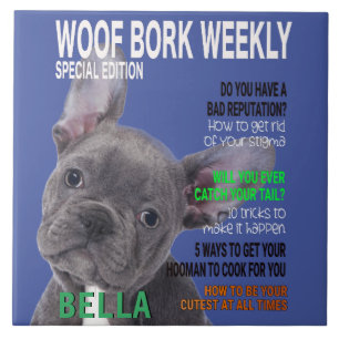 Boston Terrier Parody Magazine Cover Fliese