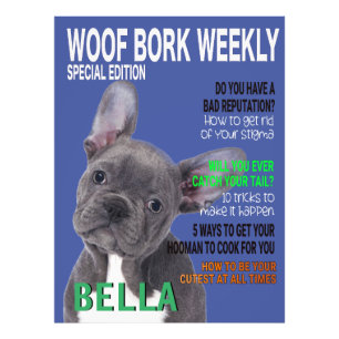 Boston Terrier Parody Magazine Cover Fotodruck