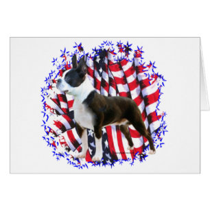 Boston Terrier Patriot