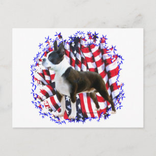 Boston Terrier Patriot Postkarte