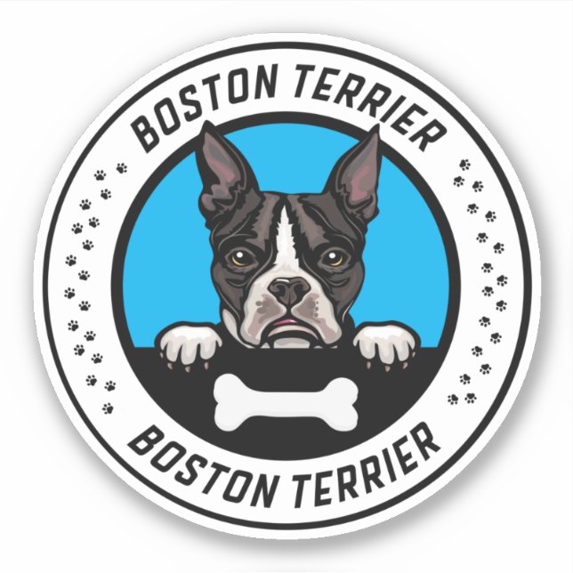 Boston Terrier Peeking Illustration Abzeichen Aufkleber (Vorderseite)