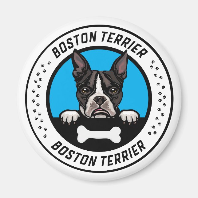 Boston Terrier Peeking Illustration Abzeichen Magnet (Vorne)