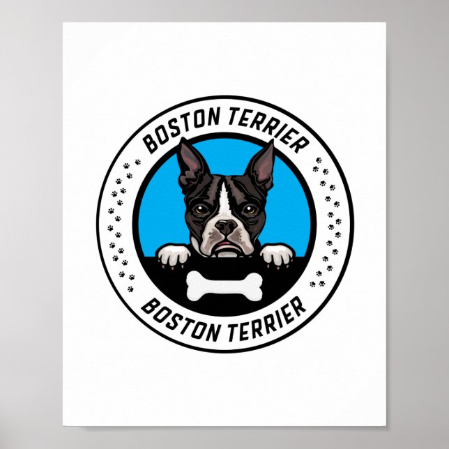Boston Terrier Peeking Illustration Abzeichen Poster (Vorne)