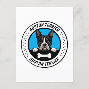 Boston Terrier Peeking Illustration Abzeichen Postkarte