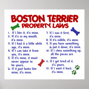 BOSTON TERRIER PL2 POSTER